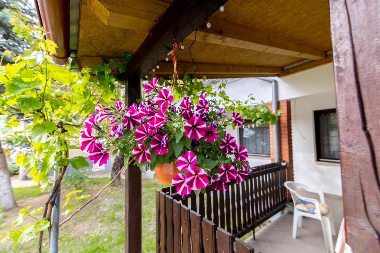 Apartman Marta I Soba Maja Gradiste エクステリア 写真