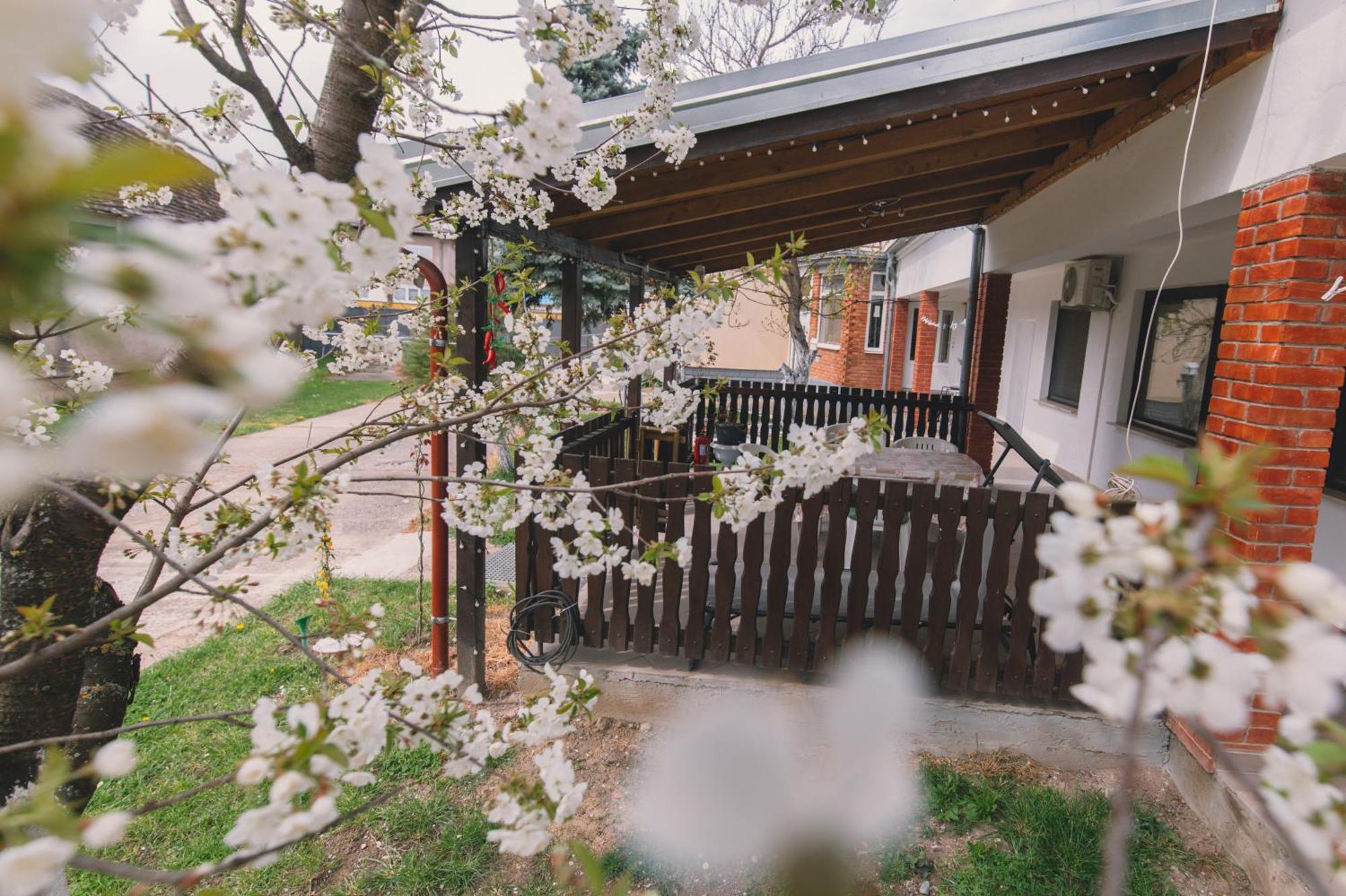 Apartman Marta I Soba Maja Gradiste エクステリア 写真